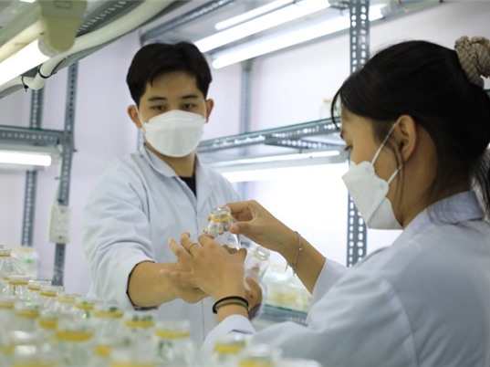 Tăng học phí đại học: Cần các biện pháp đi kèm 